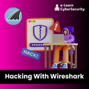 Master in Ethical Hacking With Wireshark