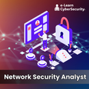 Certified Network Security Analyst - 2024