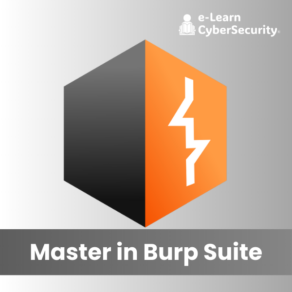 Master in Burp Suite - 2024